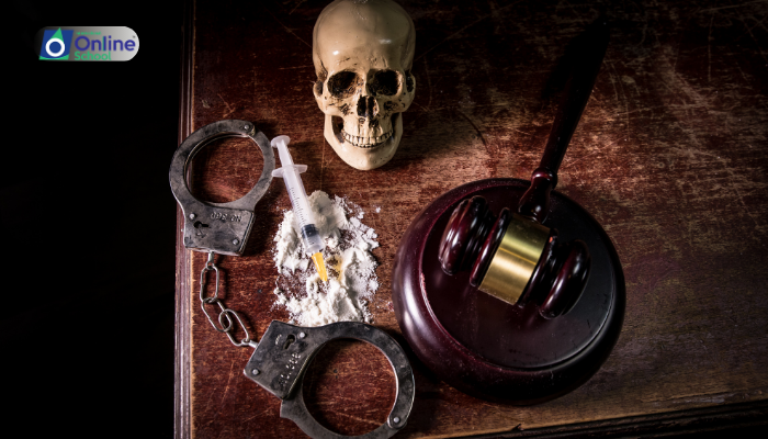 Lesson 09: Consequences of Drug Addiction